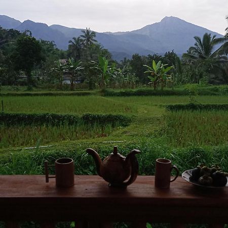 Coconut Homestay Tetebatu Exterior photo