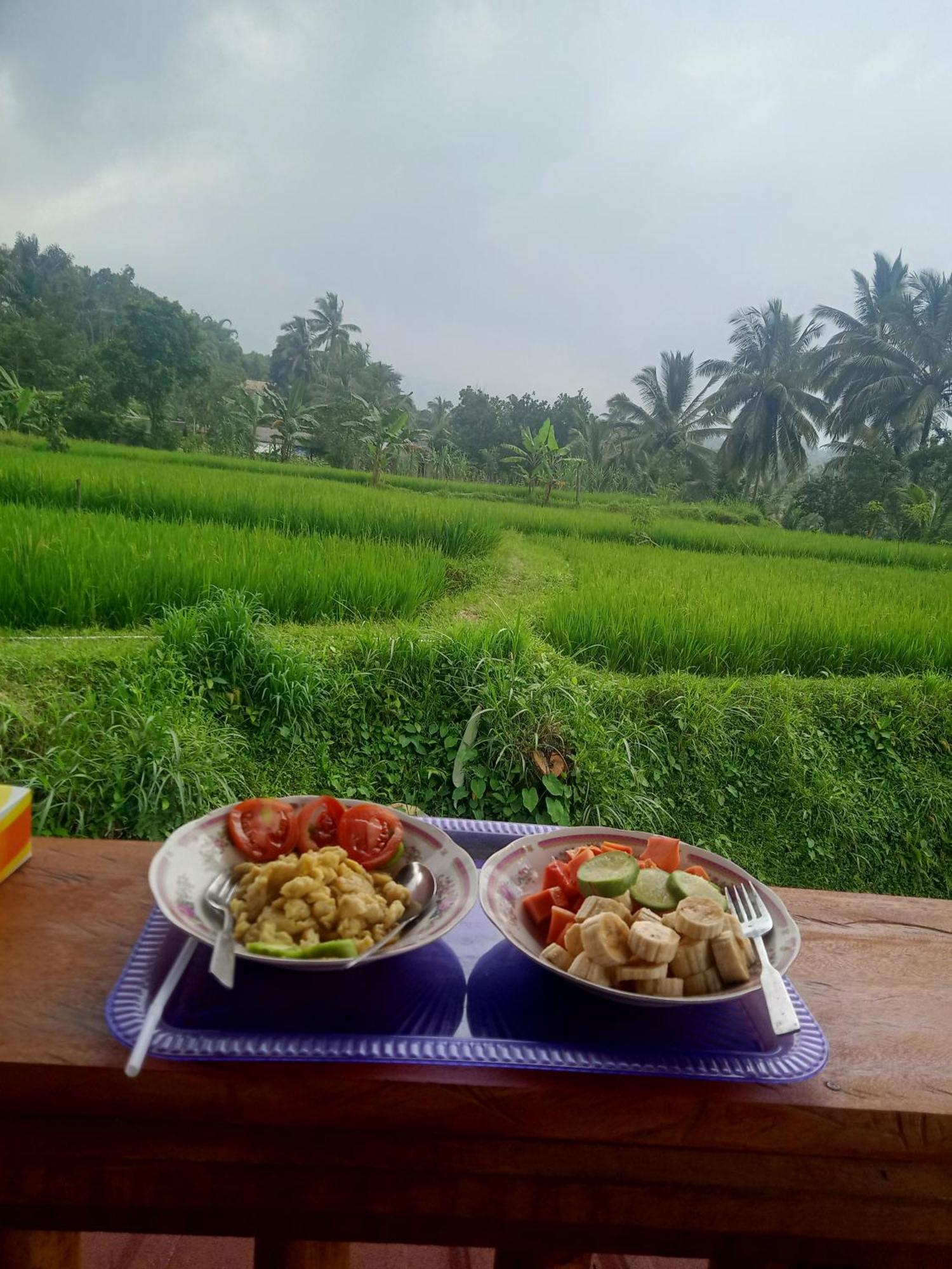 Coconut Homestay Tetebatu Exterior photo