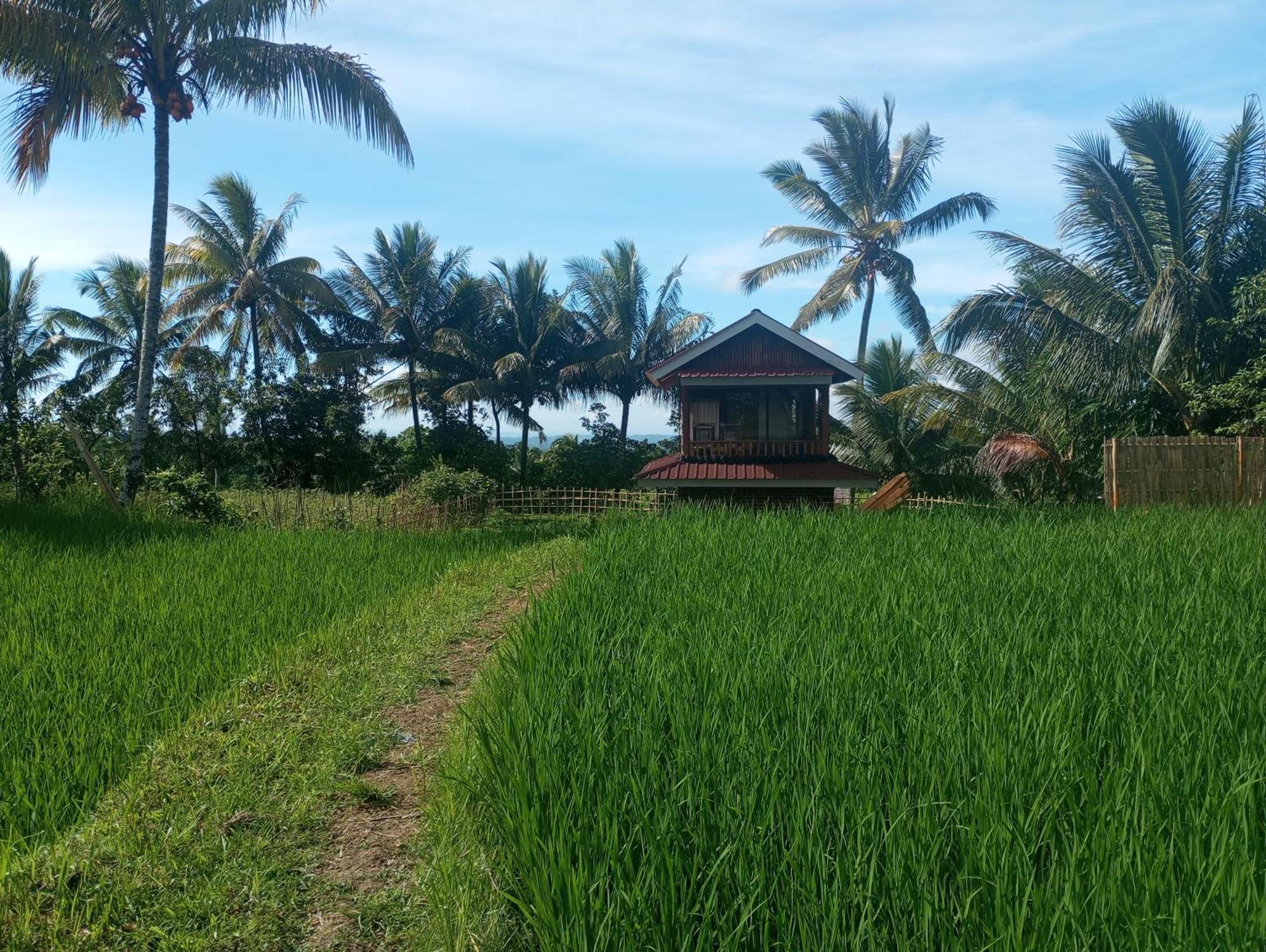 Coconut Homestay Tetebatu Exterior photo