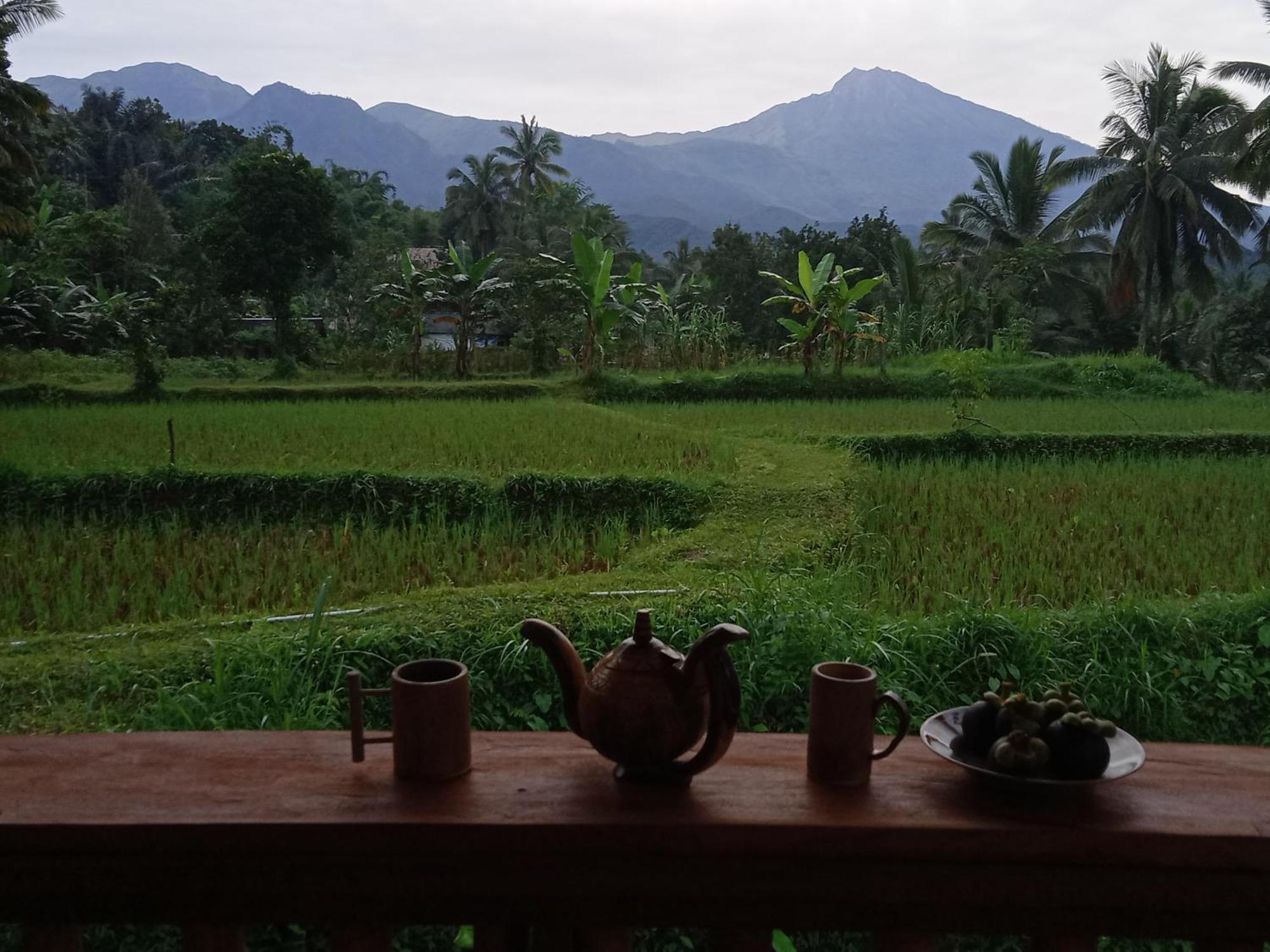Coconut Homestay Tetebatu Exterior photo